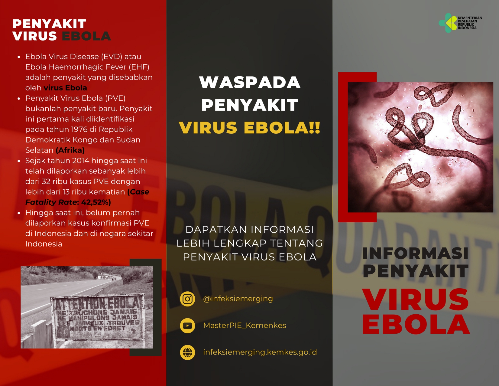 Mengenal Penyakit Virus Ebola: Gejala, Penularan, dan Pencegahannya